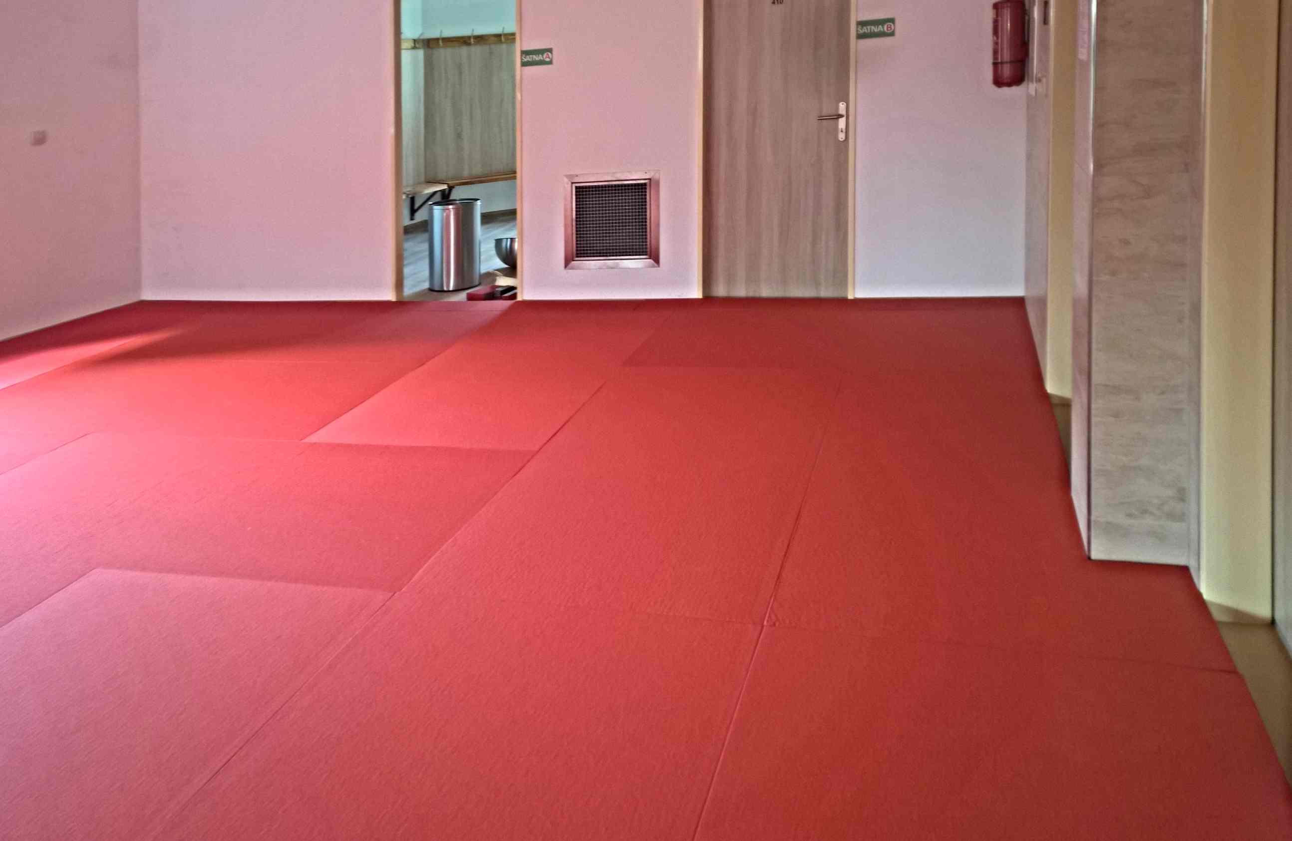 TJ LOKOMOTIVA BEROUN